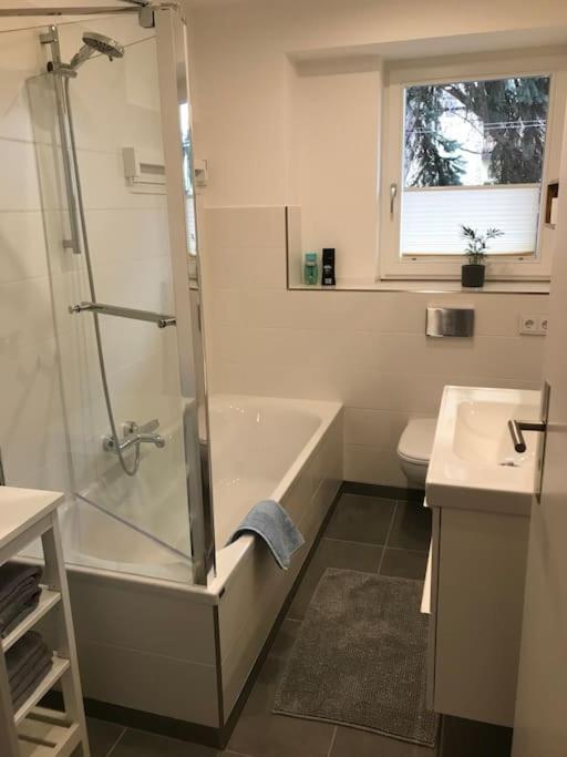 Apartment Stadtmitte Wuerzburg, Kueche, Balkon. Würzburg